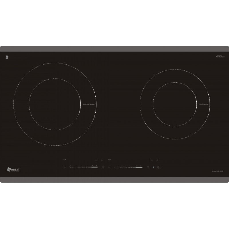 Bếp từ đôi AB266